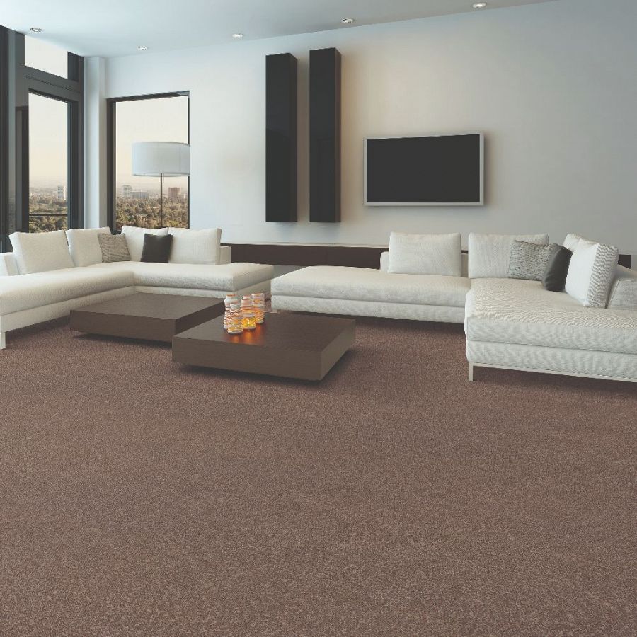 The right carpet for your space